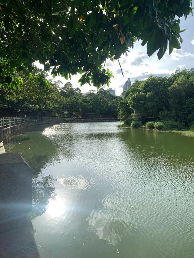 深圳羅湖區東湖公園|i人絕佳棲息地