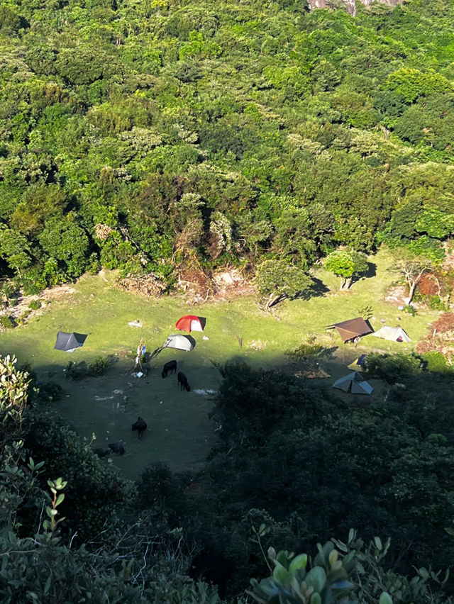 Maclehose Trail Camping sea side  🏕️ 