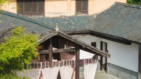 한 채의 개인 온천 빌라에서 무한 2시간 동안 숲 속 대나무 바다로 잠들다 — traveler post in 충양