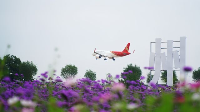 蘭州中川機場臨港花海