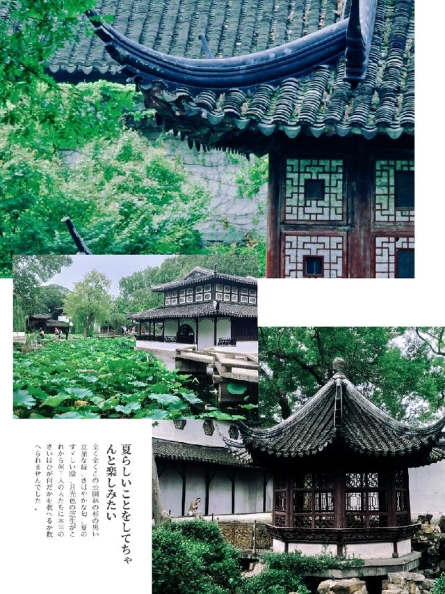 「蘇州園林之旅，穿越時空感受中國古代園林的魅力」