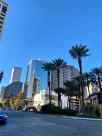 A popular saying goes: there are only three cities in the United States - New York, San Francisco, and New Orleans.