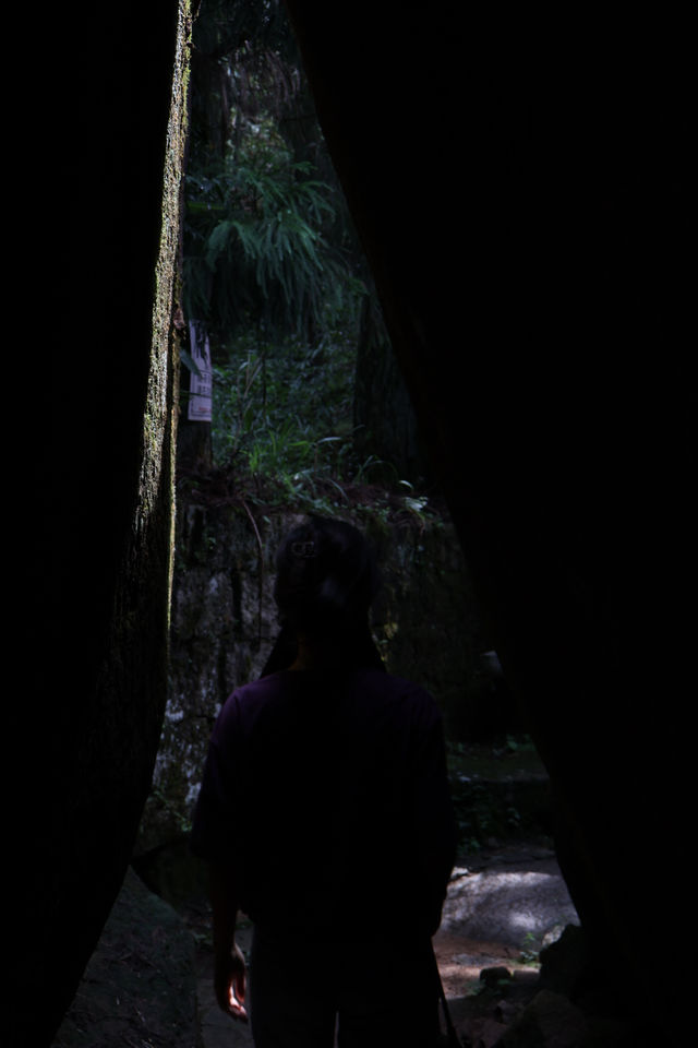 如果你自駕遊來溫州,一定要去山區尋找秋天的美景。