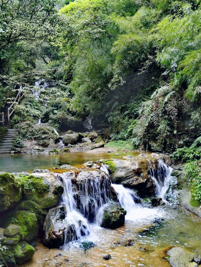 黑山谷|打卡重慶黑山谷風景區