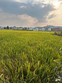 汉中1小時車程的免費小眾露營地,適合帶小朋友玩樂及垂釣。