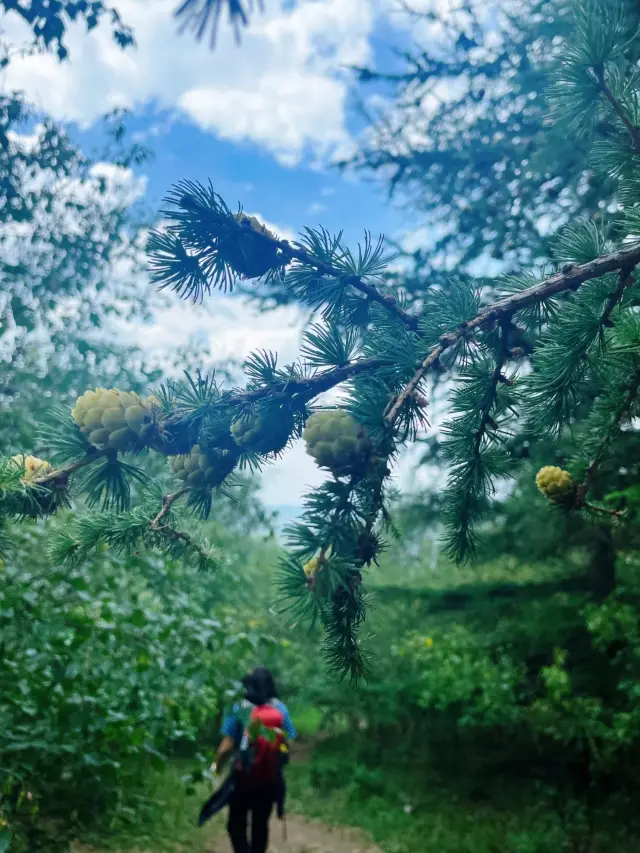 Hiking and Camping in Huapiling: A Complete Guide to the Heartbeat of Nature