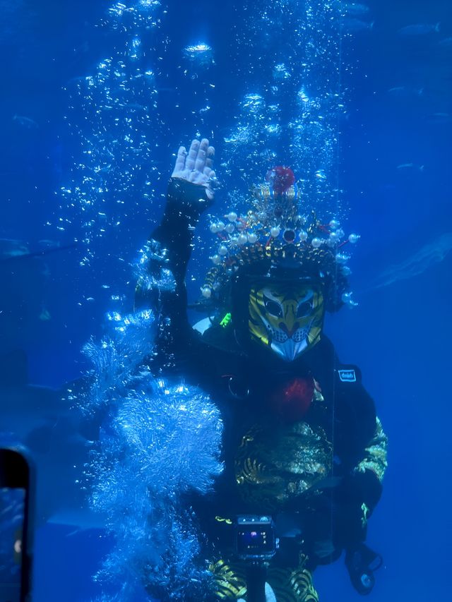 成都極地海洋公園。