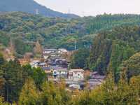 日本佐賀 | 一場邂逅自然與歷史的夢幻之旅。