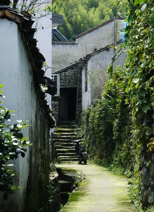 國慶的快樂是這個藏在浙江的免費古村給的。