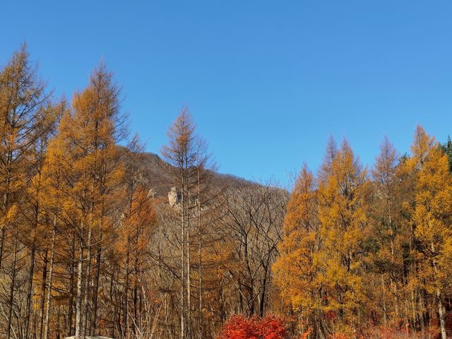 五彩繽紛的老邊溝。