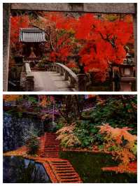 探索日本小松市的歷史與現代交融。