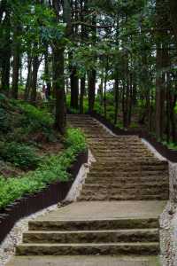 大崎山。