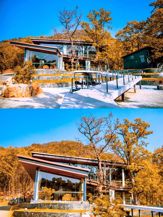 湖北隨州秘境曝光！山月韓風，古韻木屋。