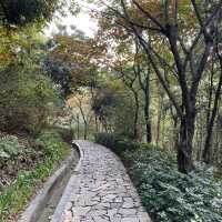 🌳 Longcheng Park 🌳