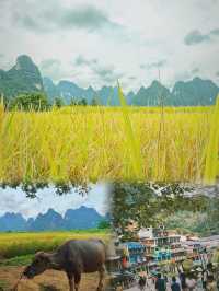 崇左之旅已完成，真的低估了這座被《國家地理》推薦的邊陲小城。