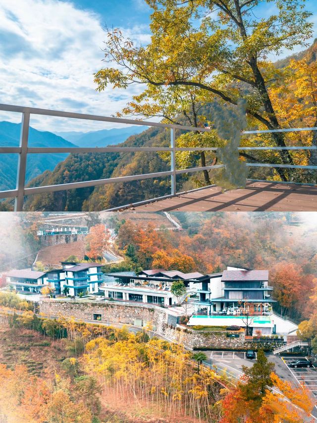 安康周邊假期聚會好地方。