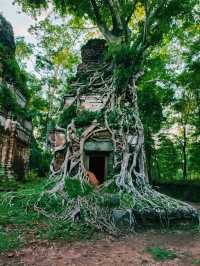 Prasat Pram: In The Possession of Jungle