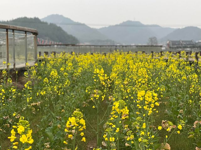 江西石城｜四季如畫的寶臧小城。
