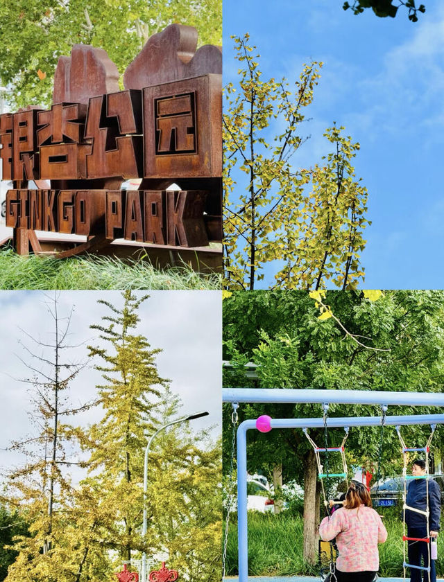 保定免費的公園~看這裡。