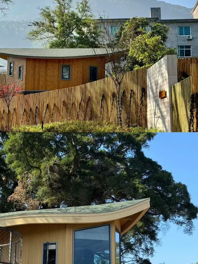 發現！福州永泰新添溪景獨院溫泉樹屋民宿。