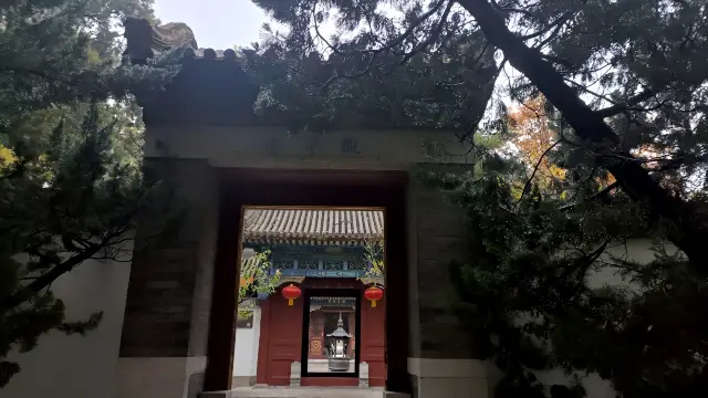 20241113   北京大觀園   4。