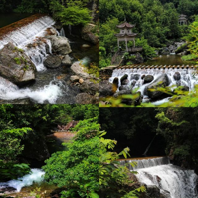 不做冤大頭天目山旅遊避雷||全攻略。