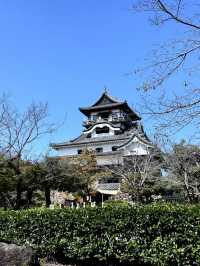 Exploring Inuyama: A Half-Day Trip from Nagoya