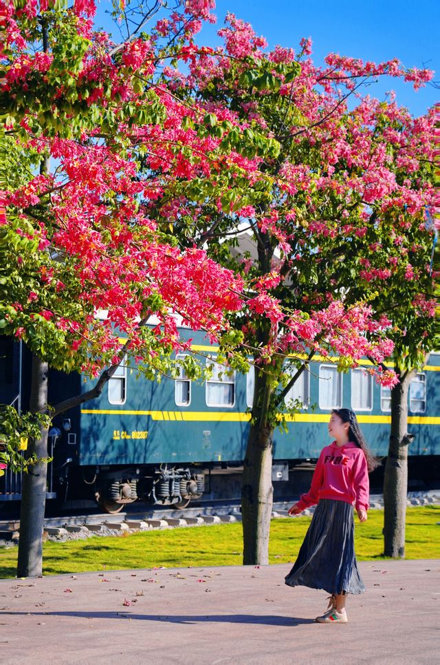 在廣州開往浪漫花海的列車好童話。