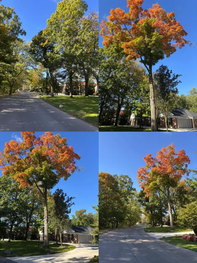 Detroit: A diverse exploration of the Motor City. 