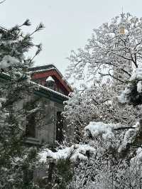 黑龍江齊齊哈爾|督軍府•跟著紅色旅遊走
