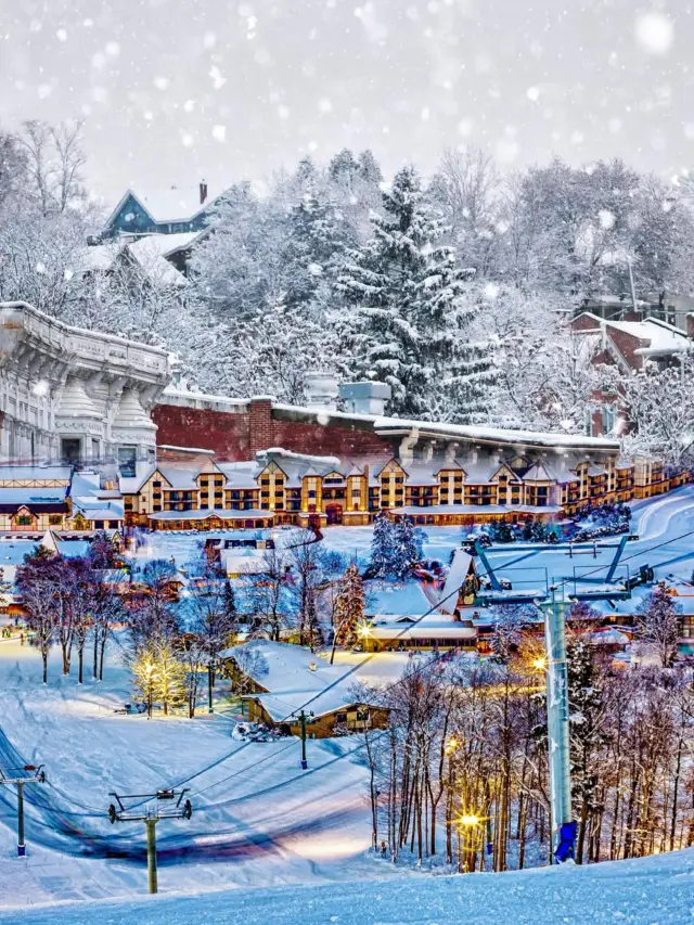 Life advice: Must-visit hidden gems in Chicago in winter