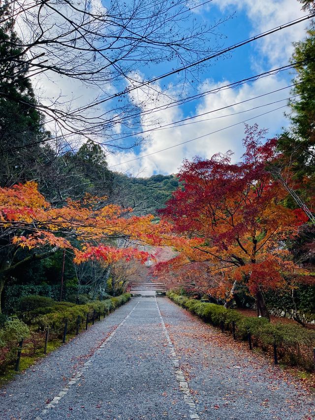 日本·京都嵐山二尊院