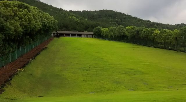 中山滑草 | 邂逅綠野