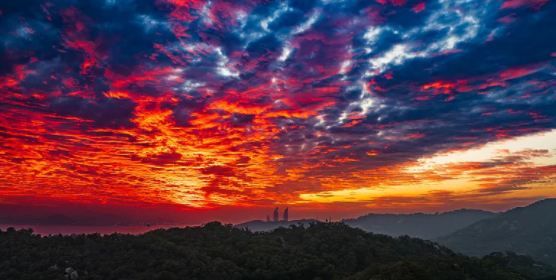 《廈門趕海風景：驚喜不斷》