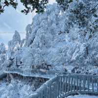 年年落雪 落雪年年光霧山