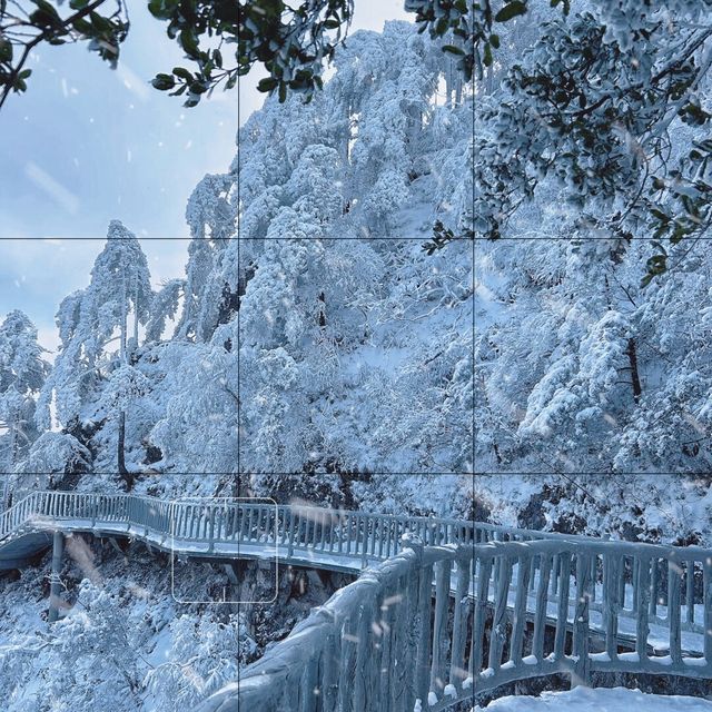 年年落雪 落雪年年光霧山