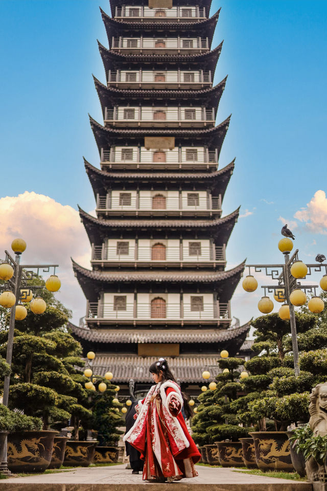 上海市區的真如寺銀杏葉落滿地啦