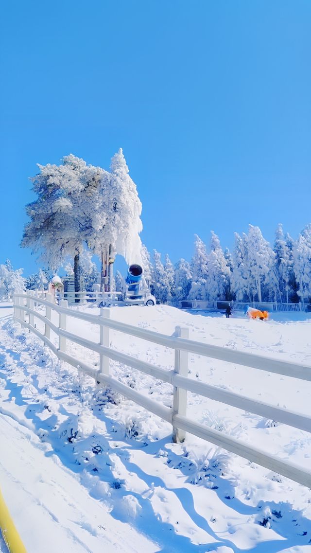 如何到達明月山滑雪場？