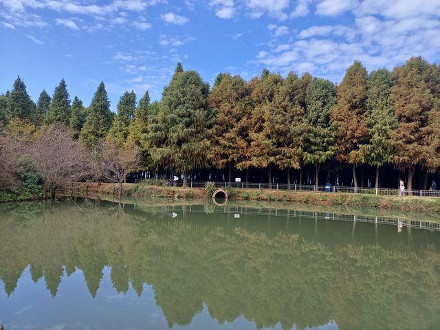 撈魚河公園——樹和鳥的樂土