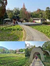 道明竹藝村，邂逅自然與藝術的詩意之地