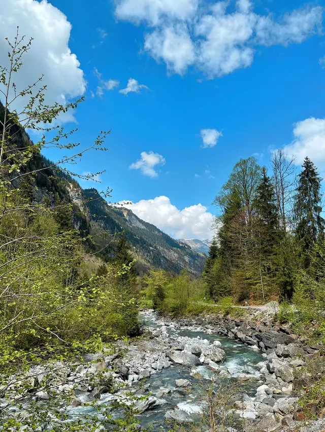 4-Day Iceland Trip: Enjoy the Northern Lights and Hot Springs