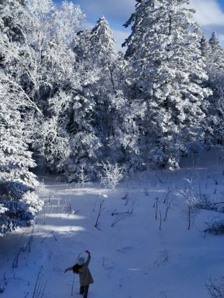 聽勸自駕去了雪嶺，美極啦上攻略