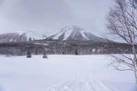 北海道小眾玩法！不滑雪也能馳騁大山
