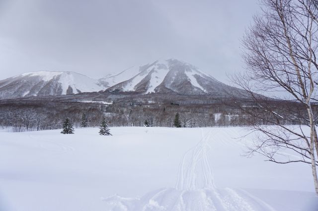 北海道小眾玩法！不滑雪也能馳騁大山