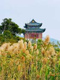 二井灣濕地公園打卡指南·珠海橫琴週末