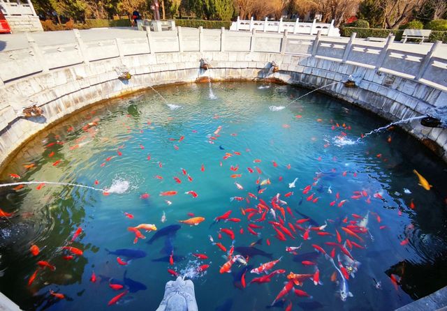 太清宮.全國重點文物保護單位