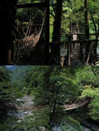德島：小眾日本嘅夢幻奇境