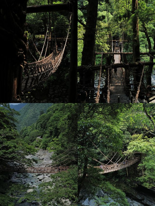 德島：小眾日本嘅夢幻奇境