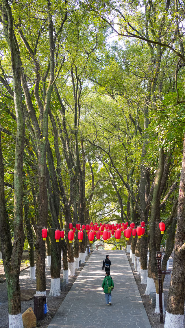 韶關旅遊免門票｜馬壩人遺址