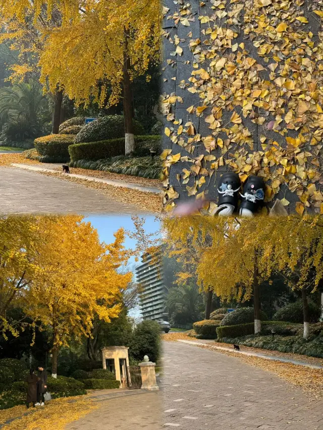 Qiandao Lake 2D1N | Relaxing Travel Guide Without Island Hopping Accommodation